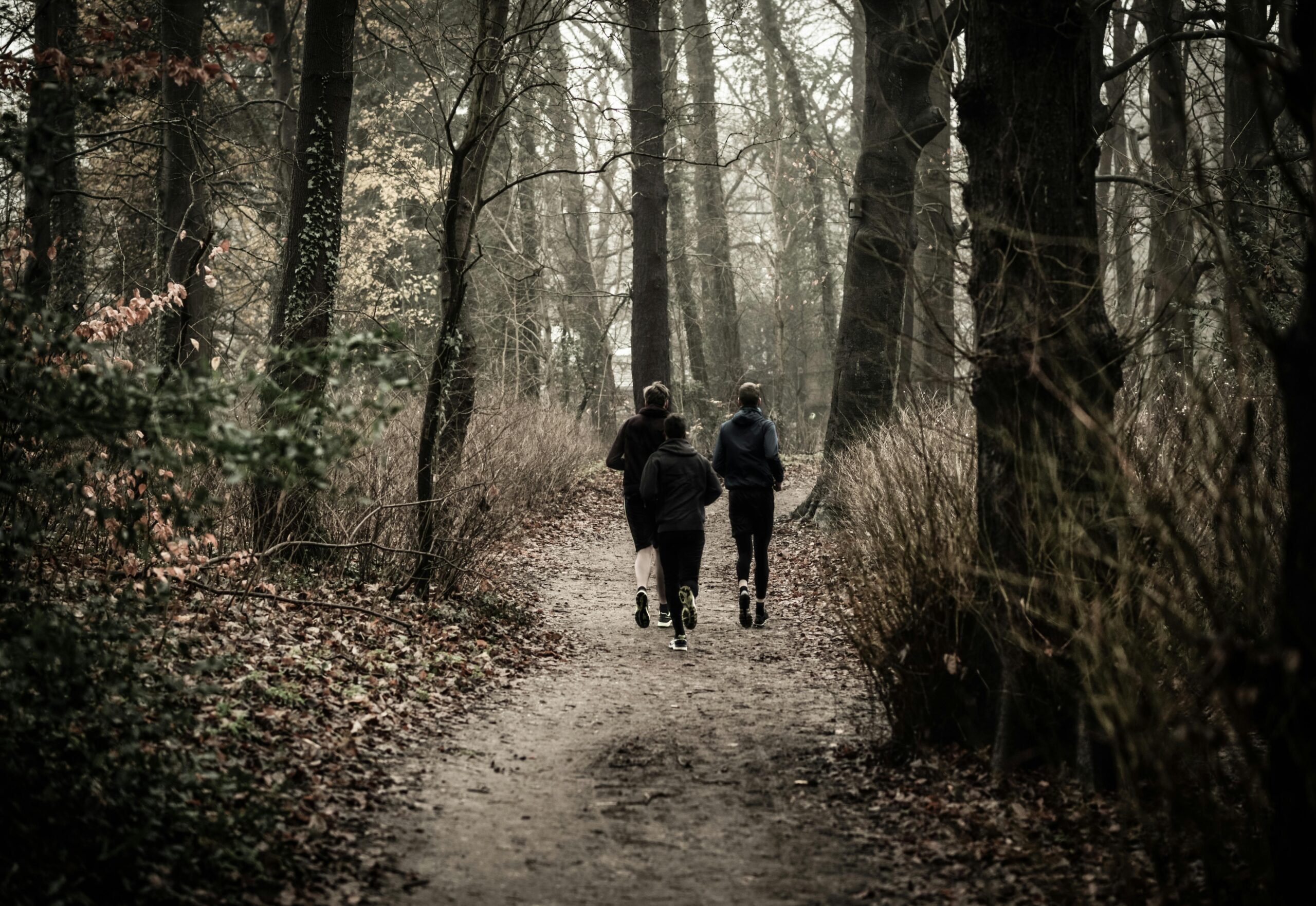 Three people jogging in forest